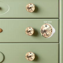 Schöne Vintage Libelle Rosa Blume Schmetterling