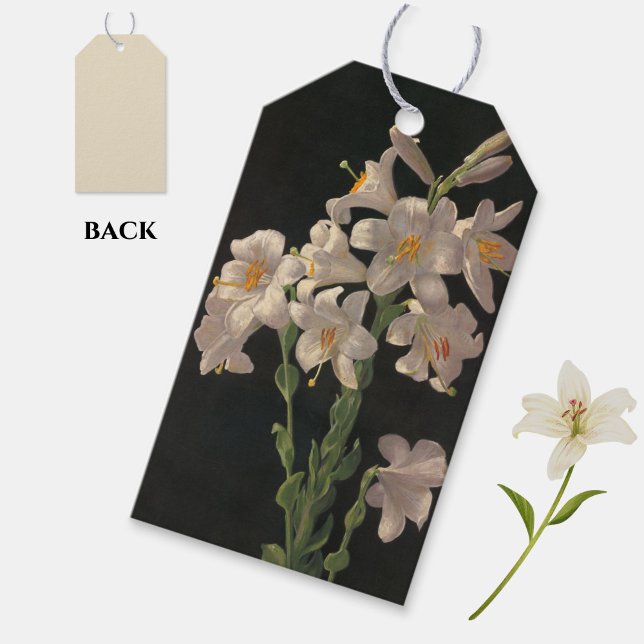 Schöne Vintage Osterlilien - Geschenk-Tag Geschenkanhänger (Elegant white lilies gift tags, for Easter gifting or at any time of year!)