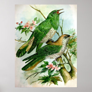 schöne Vintage-Plakatmalerei  27 Poster