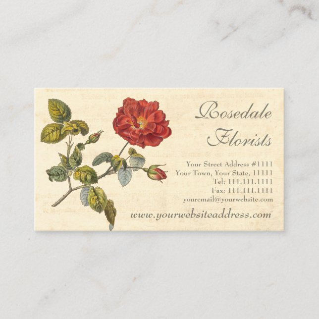 Schöne Vintage Rose in Rot Visitenkarte (Vorderseite)