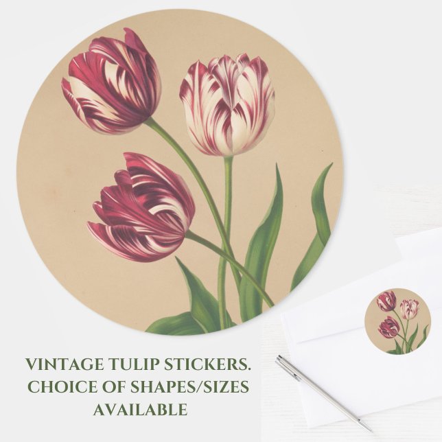Schöne Vintage Tulips Sticker (Beautiful vintage burgundy ruffled tulips grace these stickers for cards or crafts. Great for Easter)