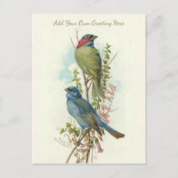 Schöne Vintage Vögel ergänzen Ihren Gruß