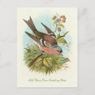 Schöne Vintage-Vögel - Fügen Sie Ihre eigene Grußb Postkarte
