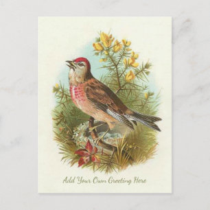 Schöne Vintage-Vögel - Fügen Sie Ihre eigene Grußb Postkarte