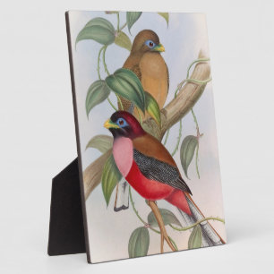 Schöne Vintage-Vögel-Tischplakette mit Staffelei Fotoplatte