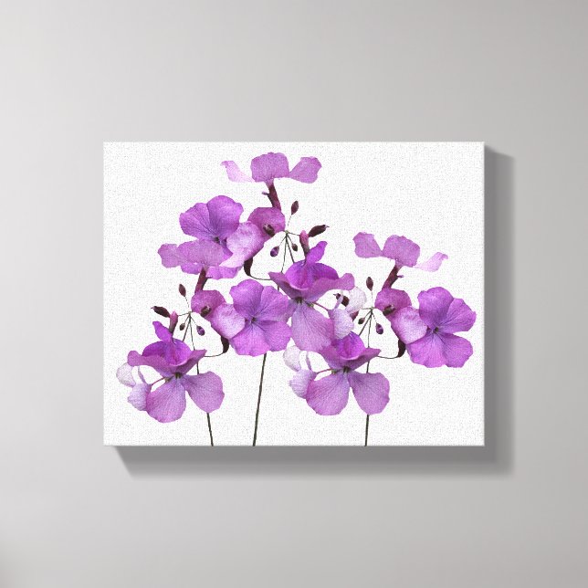 Schöne violette Blumen Moderne, feine Blumenkunst Leinwanddruck (Vorderseite)