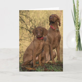 Schöne Vizsla Sporting Hunde Dankeskarte