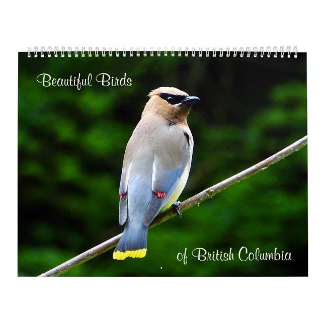 Schöne Vögel, des Britisch-Columbia Kalender (Titelbild)