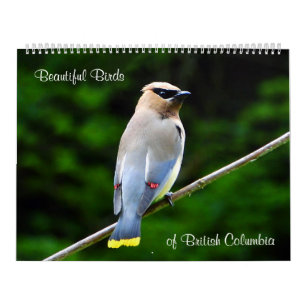 Schöne Vögel des Britisch-Columbia Kalender