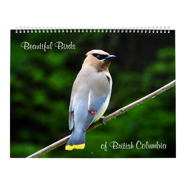 Schöne Vögel des Britisch-Columbia Kalender (Titelbild)
