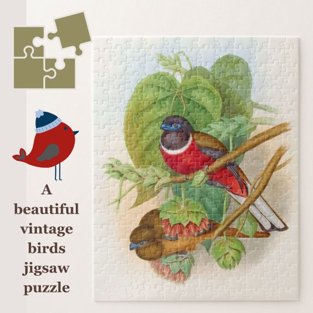 Schöne Vögel farbenfrohe Vintage Illustration Puzzle (A beautiful vintage birds jigsaw for puzzle lovers!)