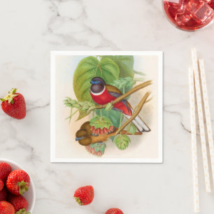 Schöne Vögel farbenfrohe Vintage Illustration Serviette