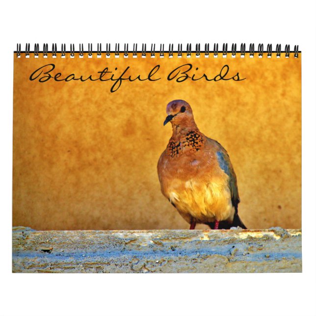 Schöne Vögel Kalender (Titelbild)