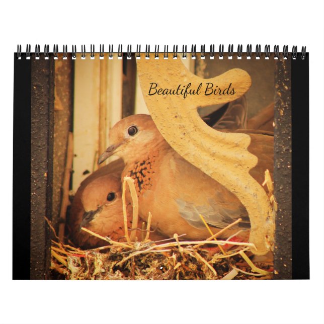 Schöne Vögel Kalender (Titelbild)