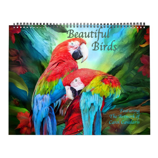 Schöne Vögel Kunst Kalender (Titelbild)