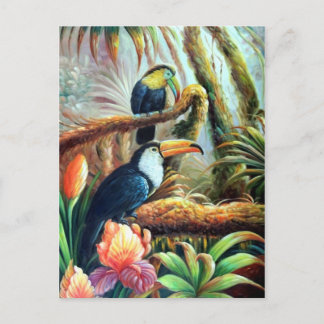 schöne Vögel - Postkarten 04