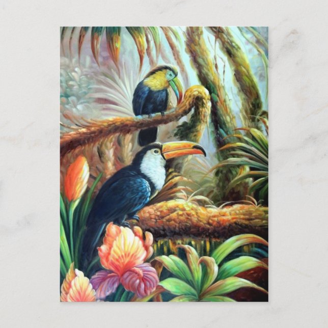 schöne Vögel - Postkarten 04 (Vorderseite)