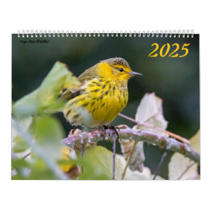 Schöne Vogelfotografie 2025 Kalender Bluebird