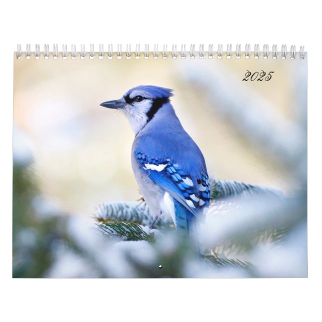 Schöne Vogelfotografie Wall Calendar Song Bird Kalender (Titelbild)