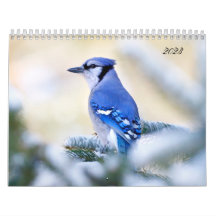 Schöne Vogelfotografie Wall Calendar Song Bird