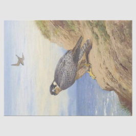 Schöne Vogelperegrine Falcon Decoupage Seidenpapier
