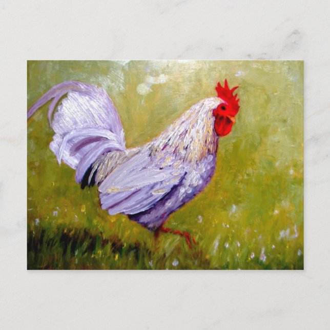 schöne Vogelpostkarten 12 Postkarte (Vorderseite)