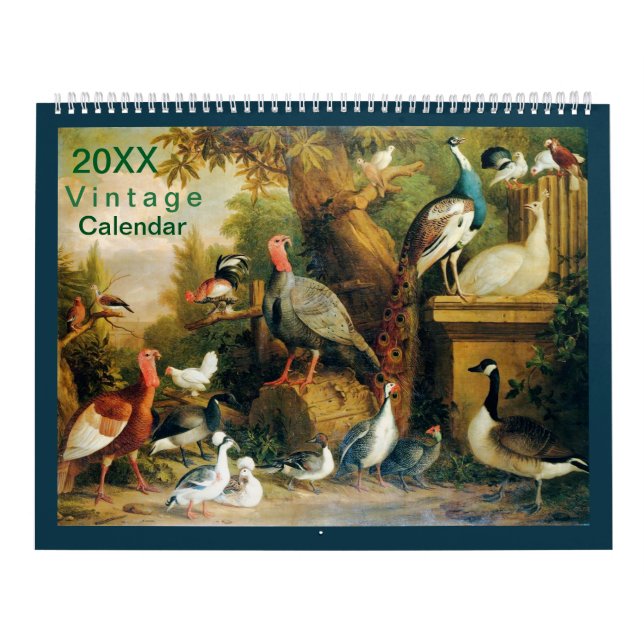 Schöne Vogelsammlung mit Vintag-Feel Kalender (Titelbild)