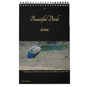 Schöne Vogelschutzfotografie-Vogelbeobachter 2026 Kalender