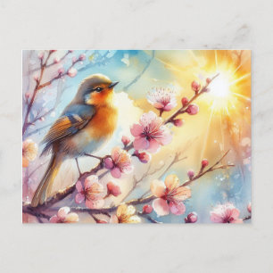Schöne Vogelwelt Frühjahrslandschaft 17 Postkarte