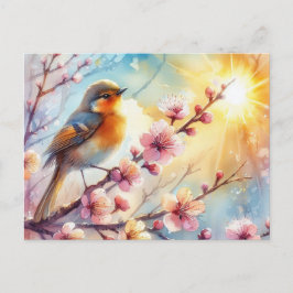 Schöne Vogelwelt Frühjahrslandschaft 17 Postkarte