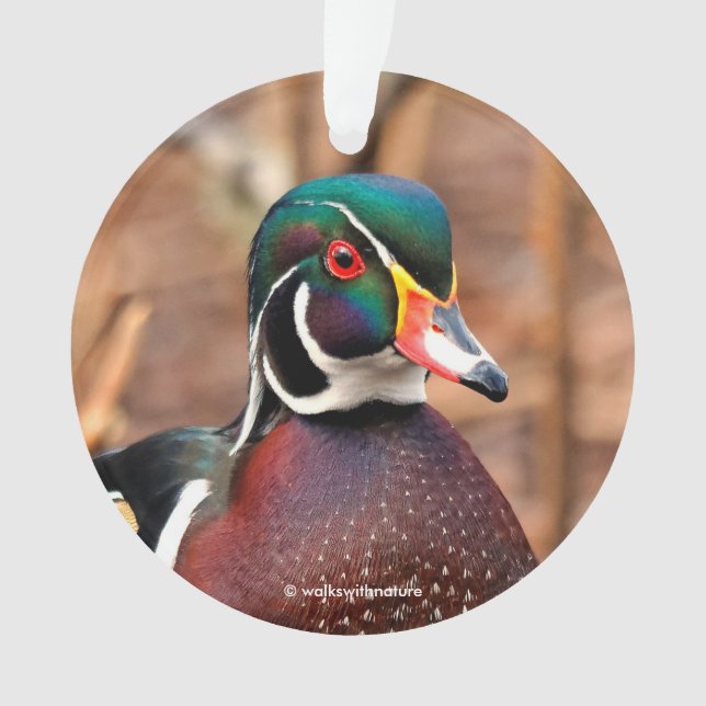 Schöne Wald-Ente im Wald Ornament (Vorderseite)
