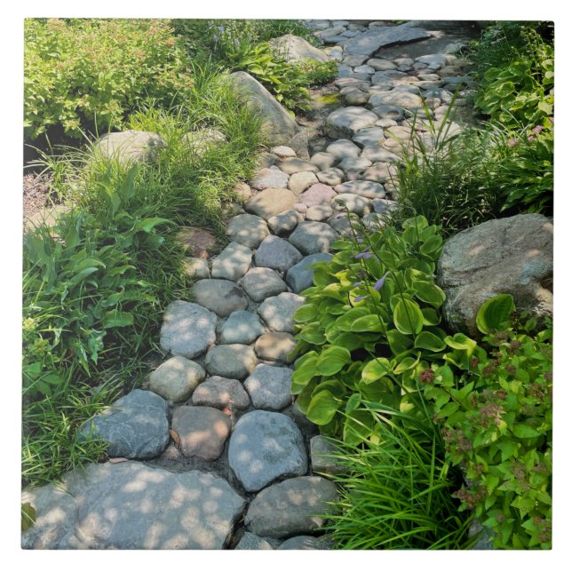 Schöne Waldschablone Foto Sonnenlichtbäume Fotovor Fliese (Vorderseite)