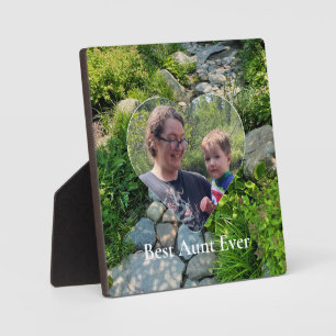 Schöne Waldschablone Foto Sonnenlichtbäume Fotovor Fotoplatte