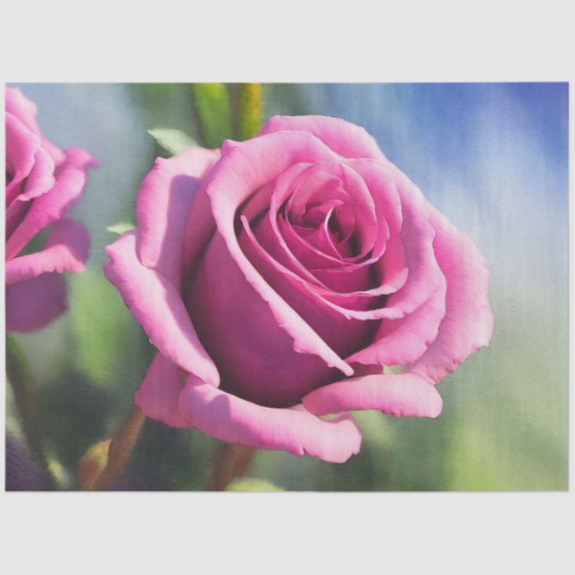 Schöne Wasserfarbe Rosa Rose Moderne Sammlung Seidenpapier (Vorderseite)