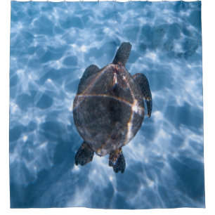 Schöne Wasserschildkröte   Bestes Geschenk für das Duschvorhang