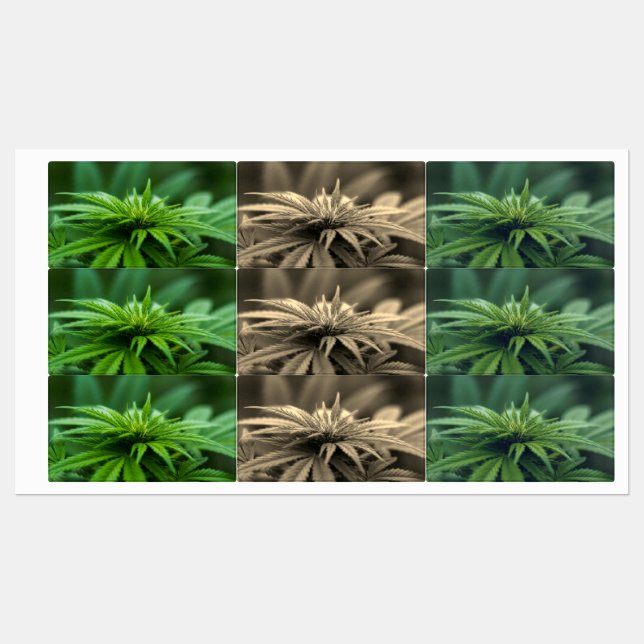 Schöne Weed Etiketten (Blatt)