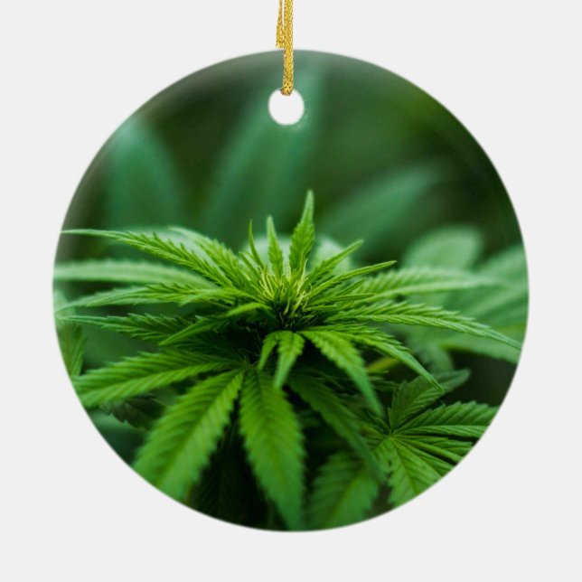 Schöne Weed Keramik Ornament (Hinten)