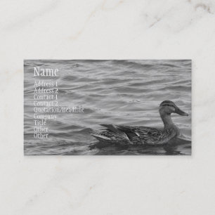 Schöne weibliche Stockenten-Ente Visitenkarte