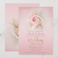 Schöne, weich rosa Rose Elegante Hochzeit