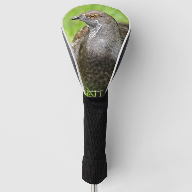 Schöne, weiche Grouse im Gras Golf Headcover (Vorderseite)
