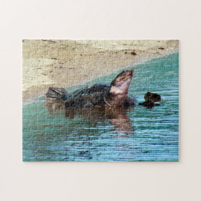 Schöne weiche Muschel Schildkröte am Strand Puzzle (Horizontal)