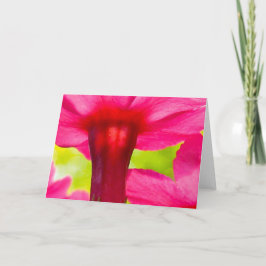 Schöne, weiche, rosa, florale Natur Karte