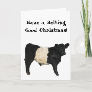 Schöne Weihnachten Belted Galloway Beltie Kuh Karte