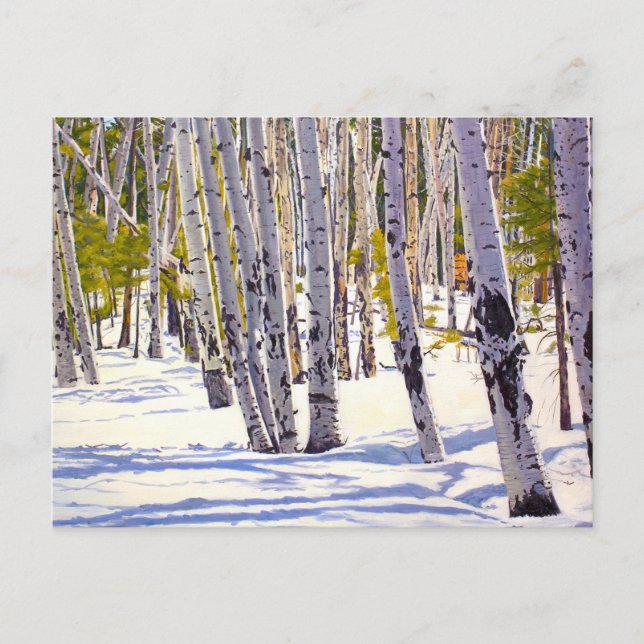 Schöne Weihnachtskarte für den Schneeberg Postkarte (Vorderseite)