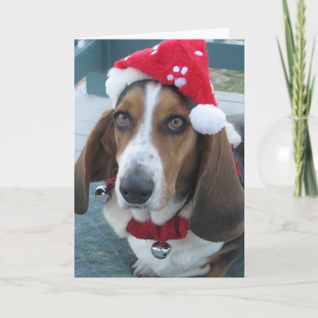 Schöne Weihnachtskarte im Basset Feiertagskarte (Vorderseite)
