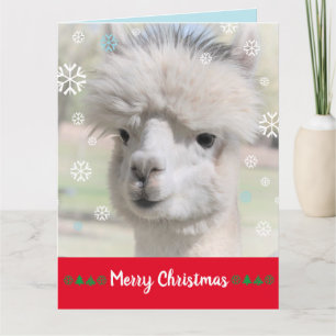 Schöne Weihnachtskarte mit Schneee-Alpaka Karte