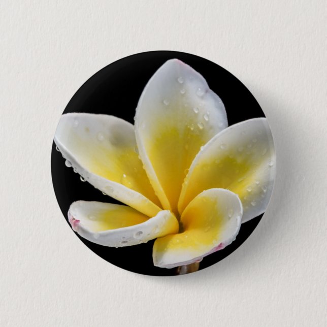 Schöne weiß-gelbe Plumeria-Blume Button (Vorderseite)