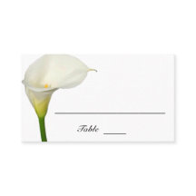 Schöne weiße Calla Lily Flat Wedding