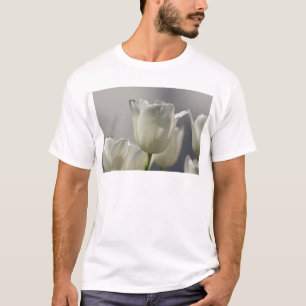 Schöne weiße Frühlings-Tulpen T-Shirt