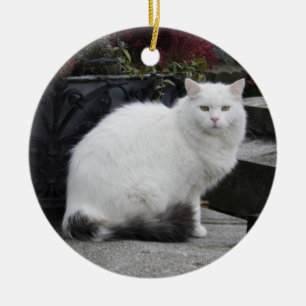 Schöne weiße Katze auf einem Grab Keramikornament